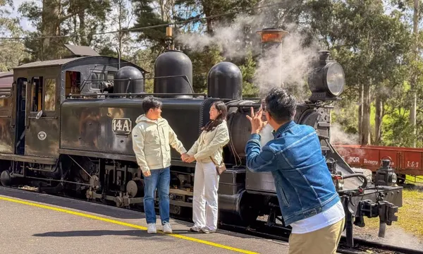 Puffing Billy, Yarra Valley & Redwood Forest Trails Day Tour