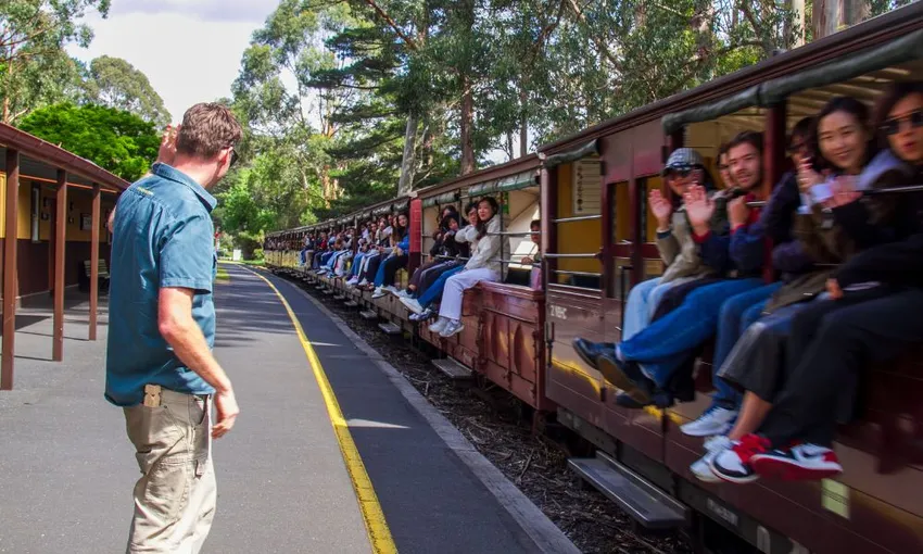 Puffing Billy, Yarra Valley, Redwood Forest Tour | Experience Oz 