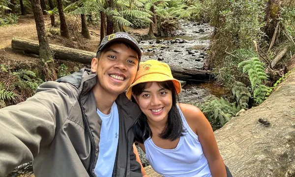 Puffing Billy, Yarra Valley & Redwood Forest Trails Day Tour