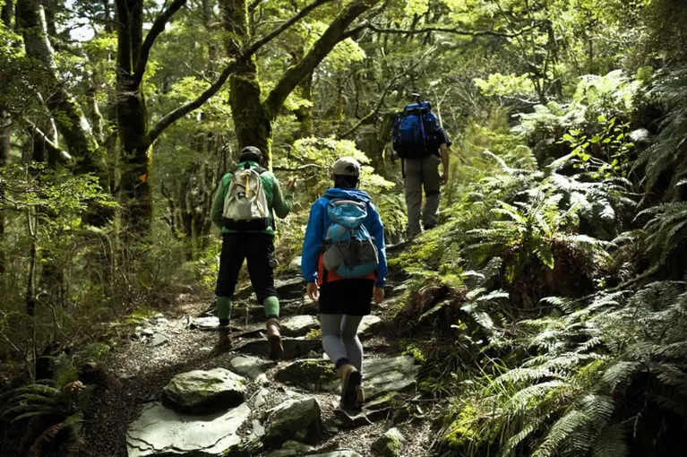 Rob Roy Glacier Guided Hiking Tour - Full Day | Experience Oz + NZ
