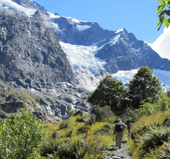 Rob Roy Glacier Guided Hiking Tour - Full Day | Experience Oz + NZ