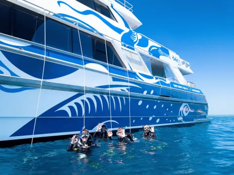 Great Barrier Reef Tour with Intro Dive Special - 5 Hours