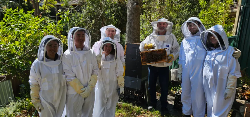 Sydney Bee Keeping with Honey & Tasting - 2 Hours | Experience Oz