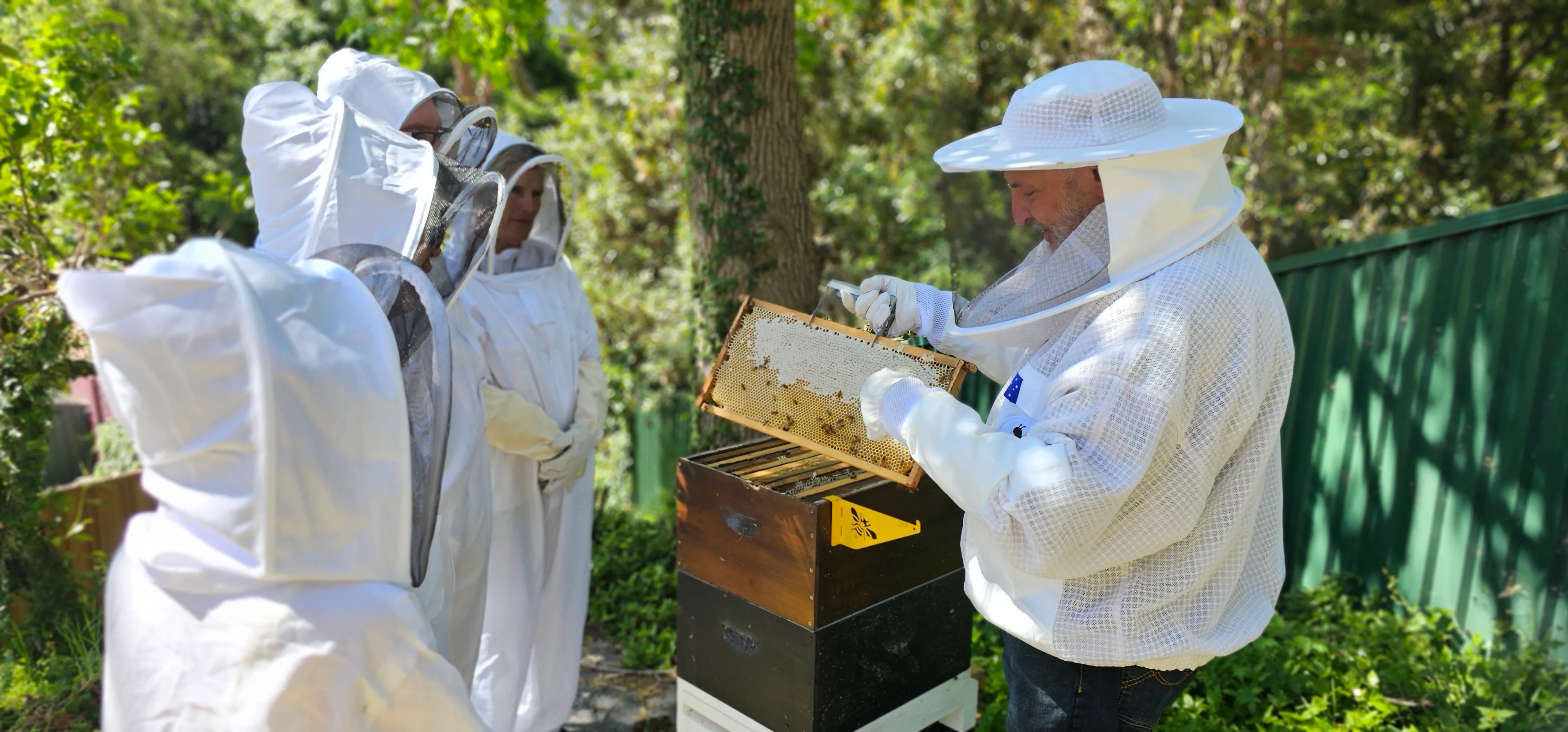 Sydney Bee Keeping with Honey & Tasting - 2 Hours | Experience Oz-1