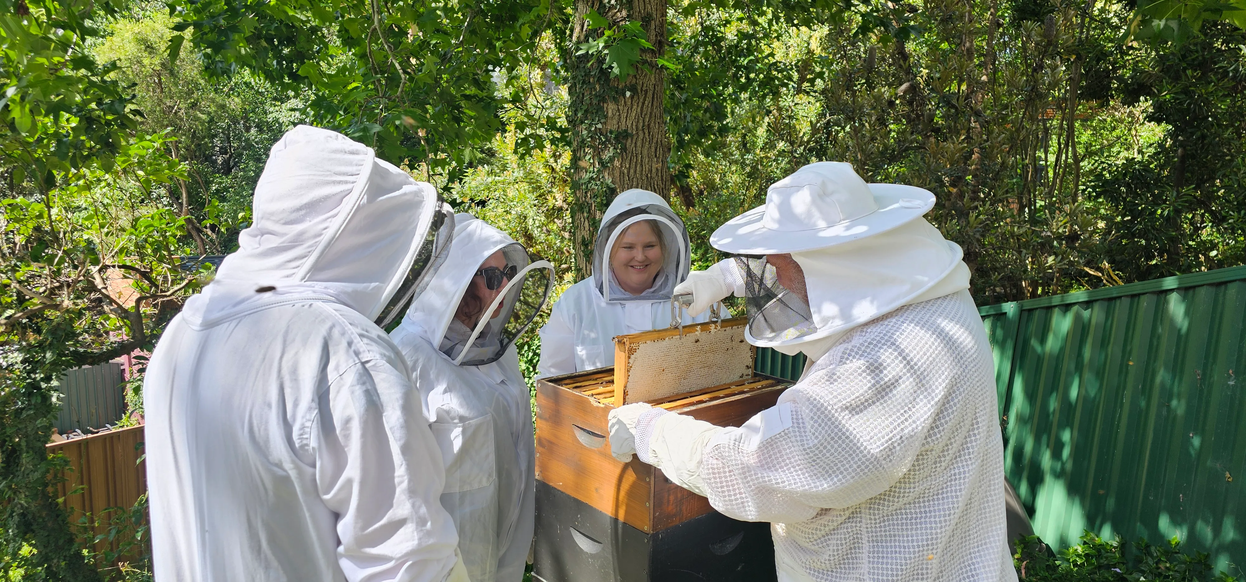Sydney Bee Keeping with Honey & Tasting - 2 Hours | Experience Oz-4