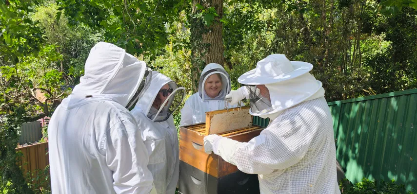 Sydney Bee Keeping with Honey & Tasting - 2 Hours | Experience Oz