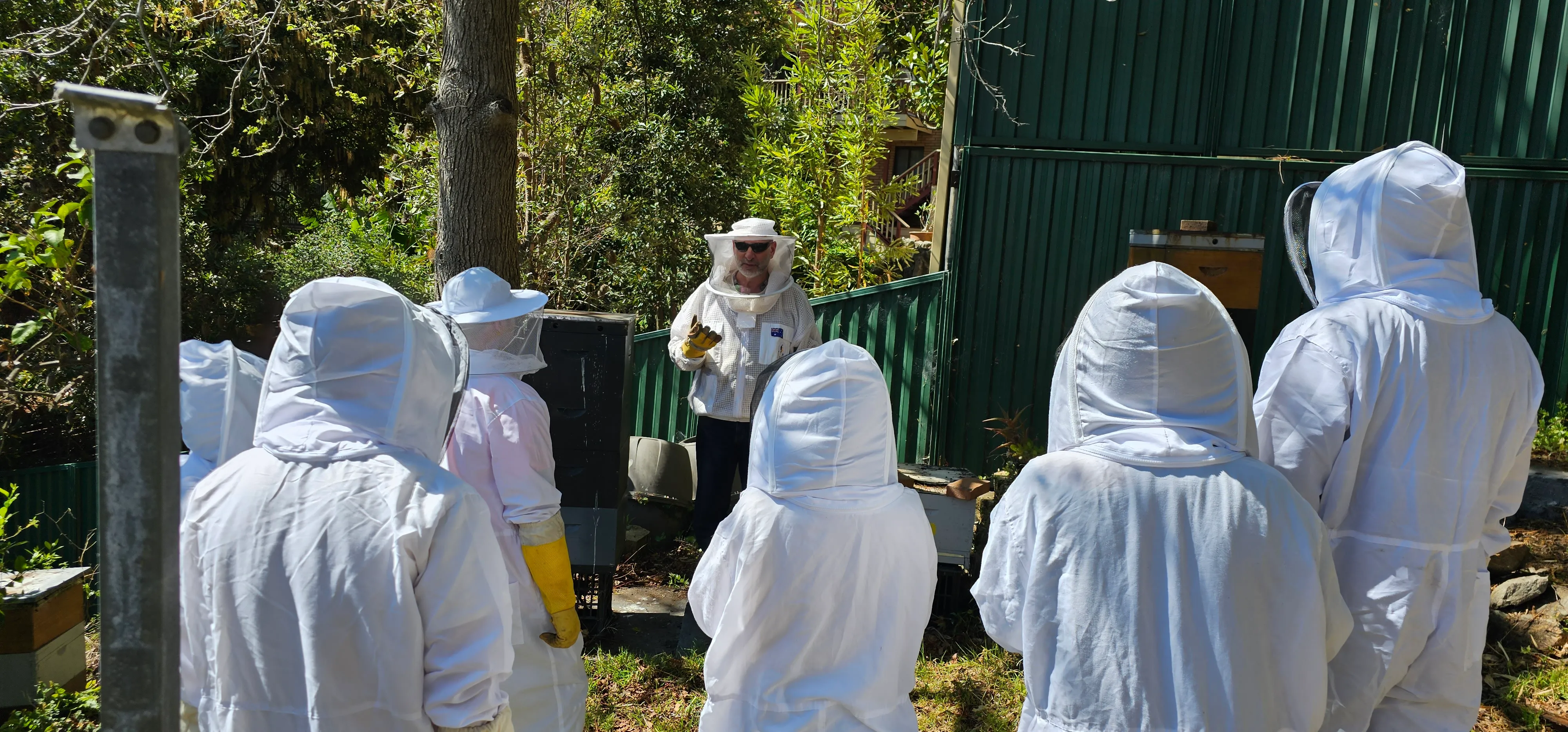 Sydney Bee Keeping with Honey & Tasting - 2 Hours | Experience Oz-5
