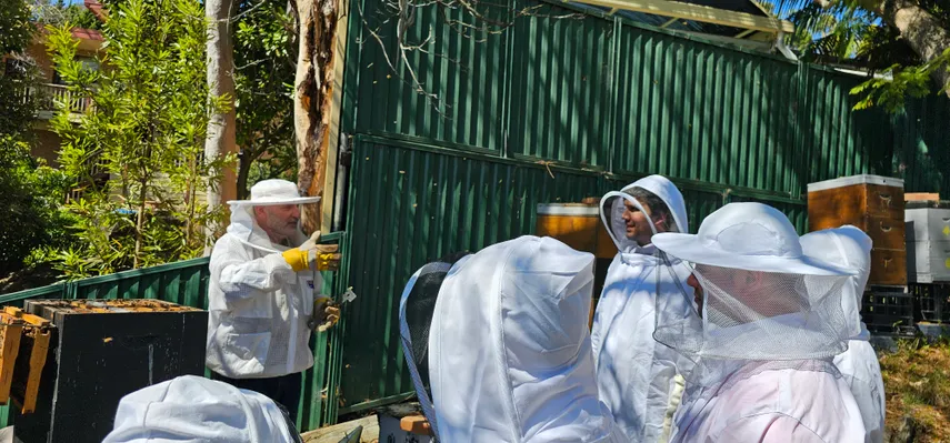 Sydney Bee Keeping with Honey & Tasting - 2 Hours | Experience Oz