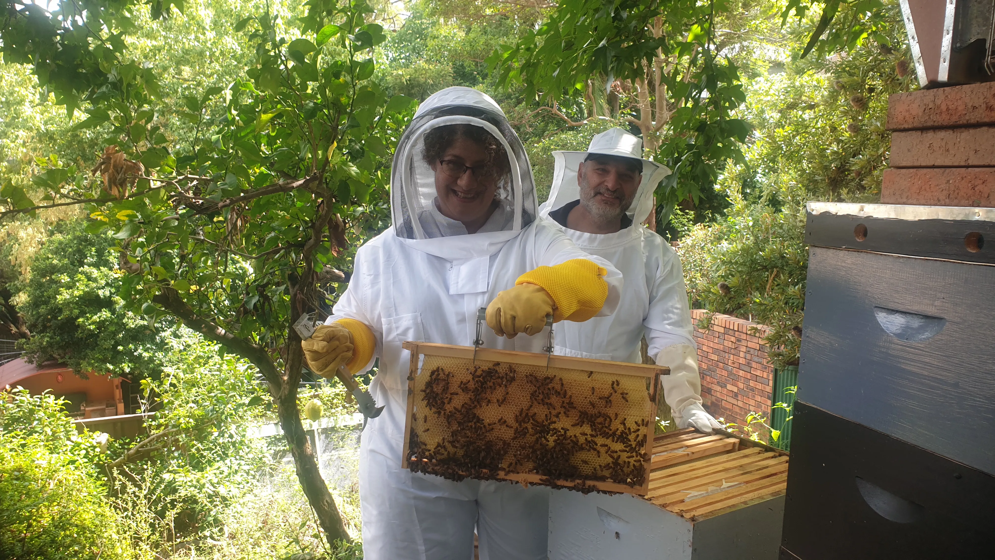Sydney Urban Beekeeping Basics Workshop - 5 Hours | Experience Oz-2