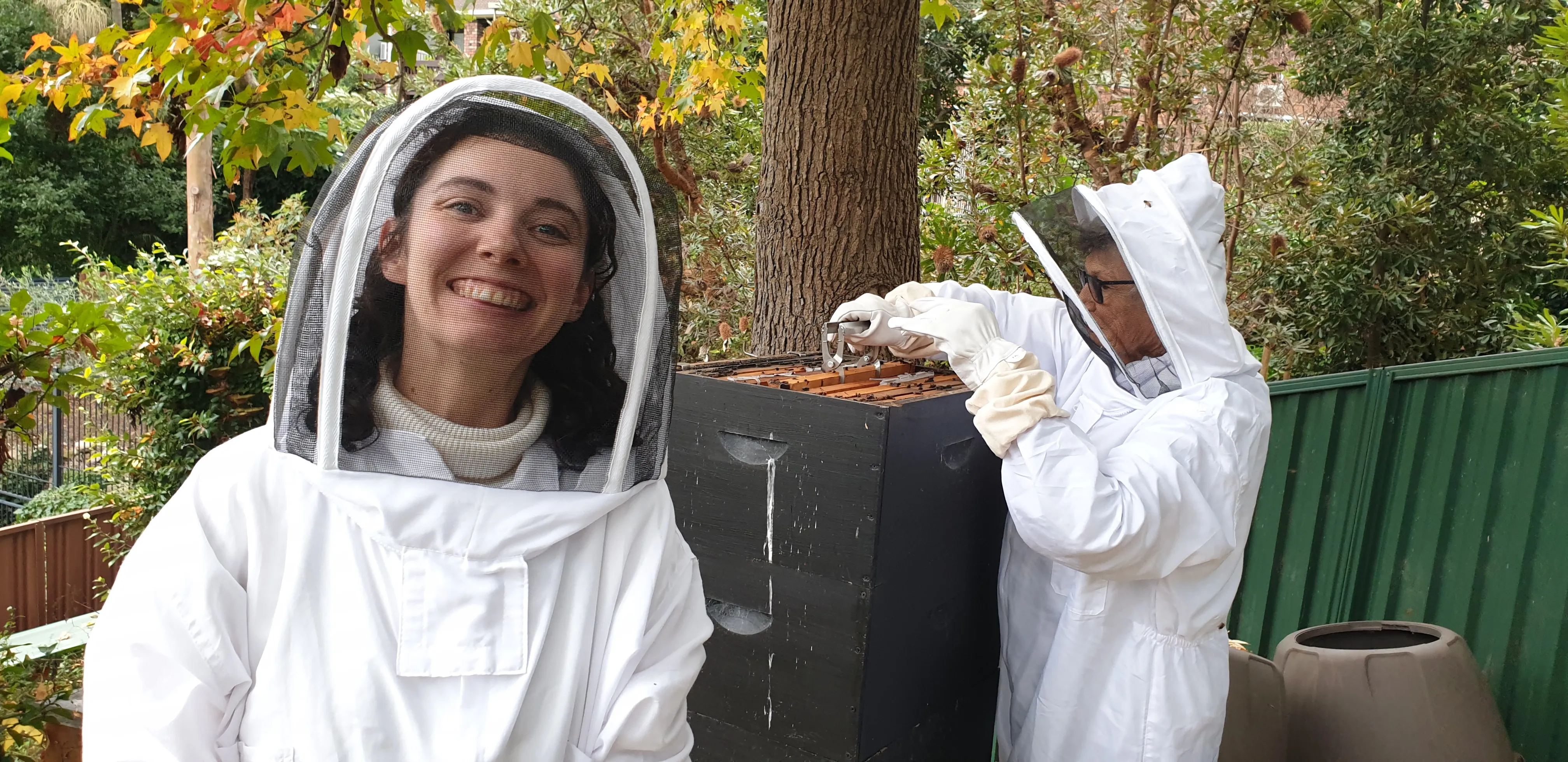 Sydney Urban Beekeeping Basics Workshop - 5 Hours | Experience Oz-1