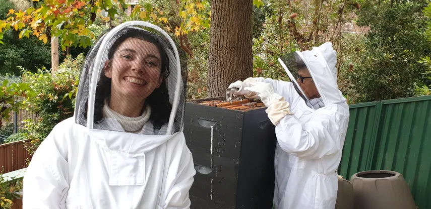 Sydney Urban Beekeeping Basics Workshop - 5 Hours | Experience Oz