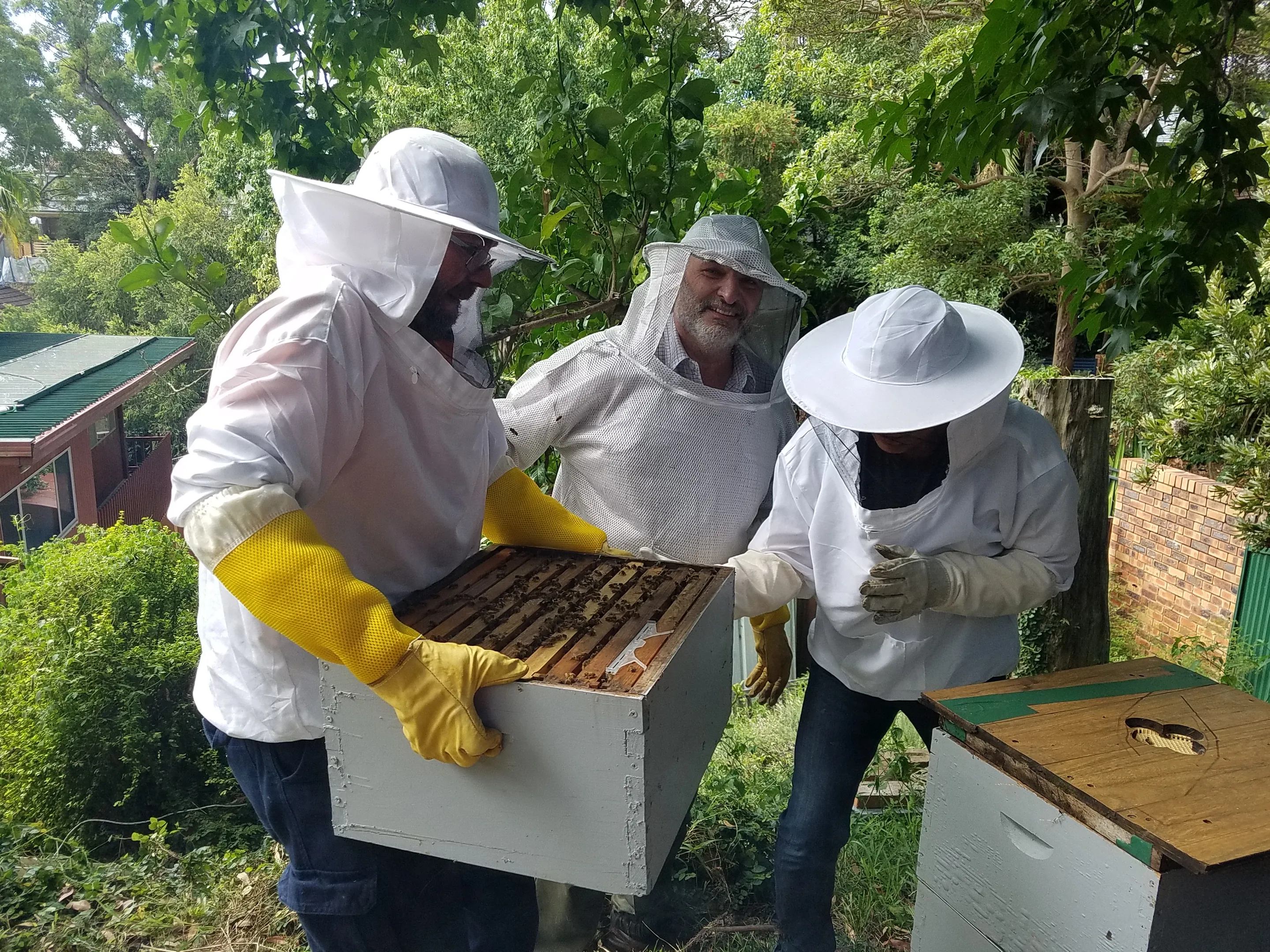 Sydney Urban Beekeeping Basics Workshop - 5 Hours | Experience Oz-3