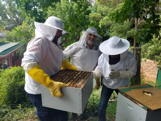 Sydney Urban Beekeeping Basics Workshop - 5 Hours | Experience Oz