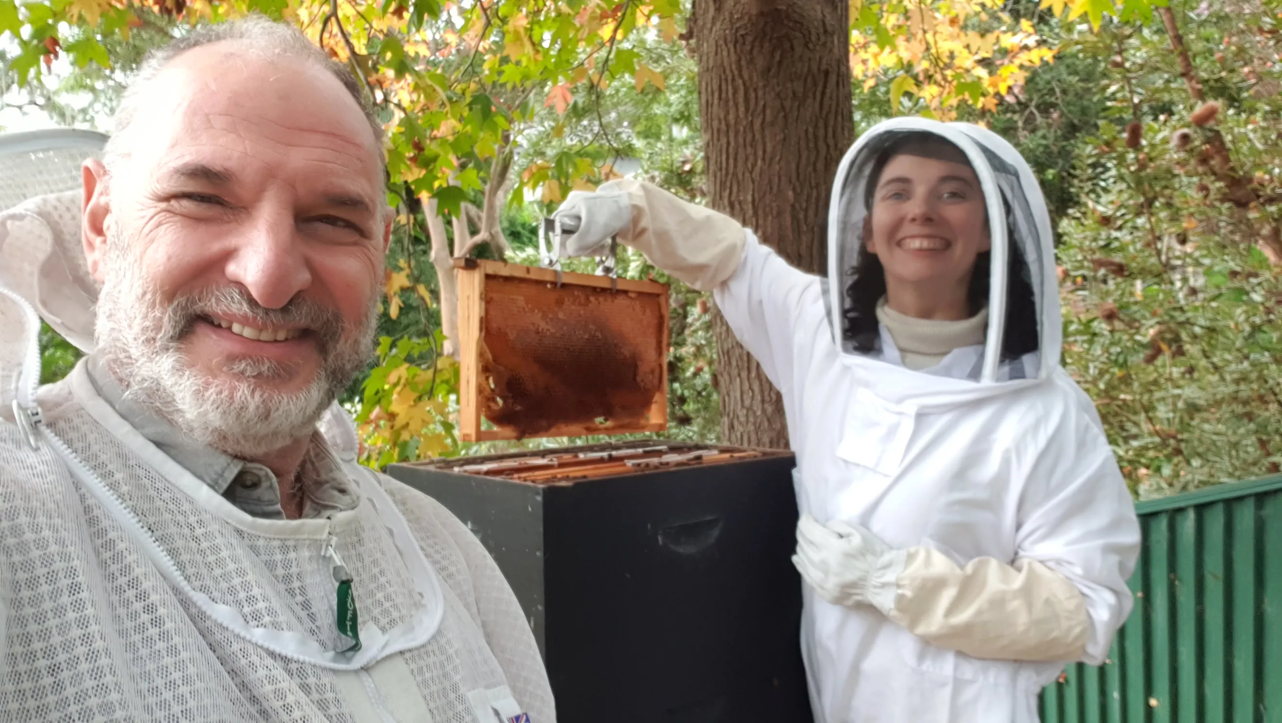 Sydney Urban Beekeeping Basics Workshop - 5 Hours | Experience Oz-6