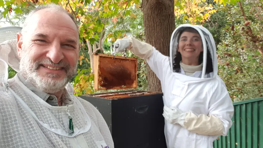 Sydney Urban Beekeeping Basics Workshop - 5 Hours | Experience Oz