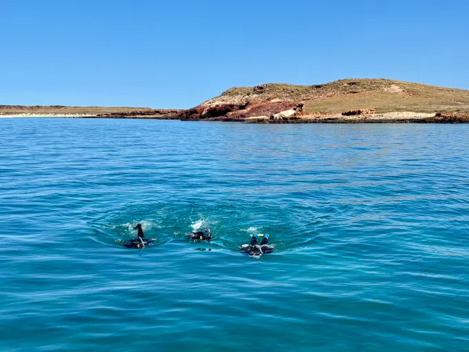 Dampier Snorkelling and Sightseeing Cruise | Experience Oz