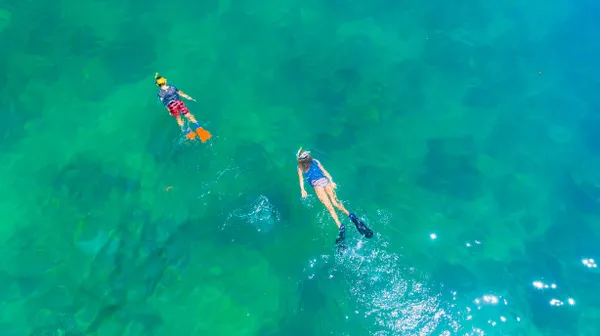 Dampier Snorkelling and Sightseeing Cruise - Half Day