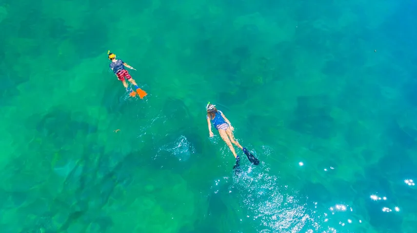 Dampier Snorkelling and Sightseeing Cruise | Experience Oz