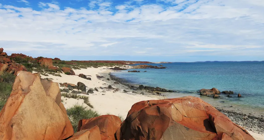 Dampier Snorkelling and Sightseeing Cruise | Experience Oz