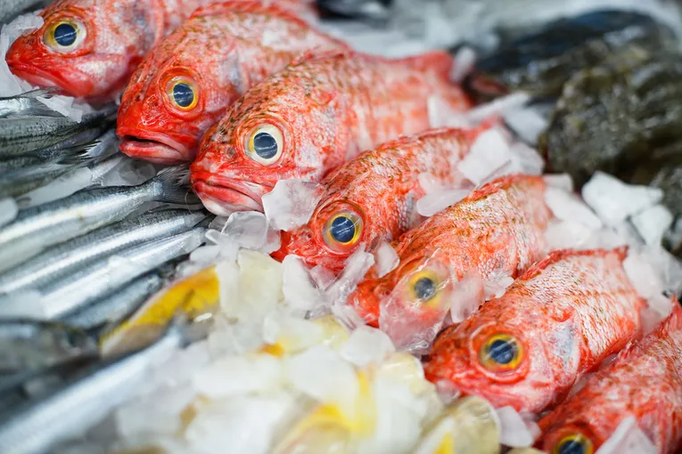 Sydney Fish Market Behind the Scenes Tour | Experience Oz