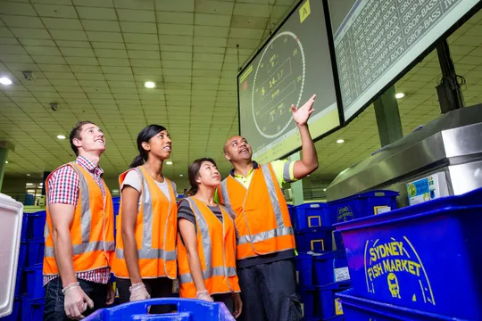 Sydney Fish Market Behind the Scenes Tour - 2 Hours