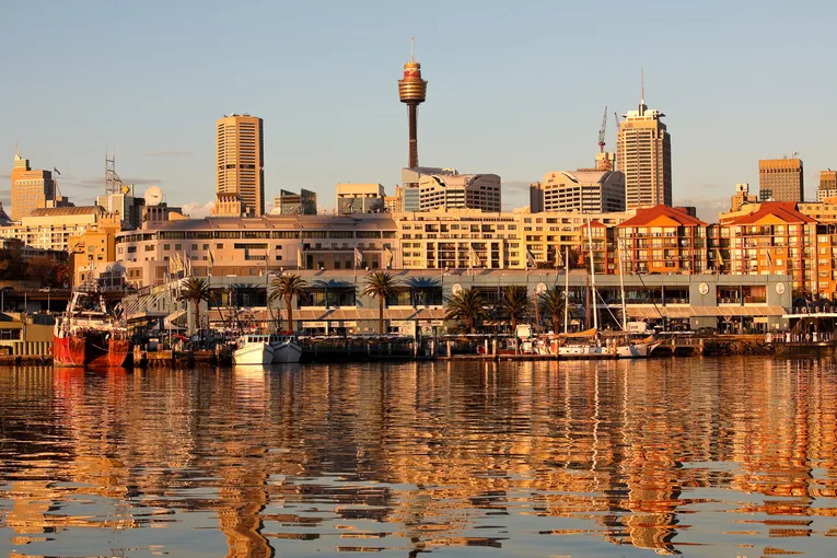 Sydney Fish Market Behind the Scenes Tour | Experience Oz