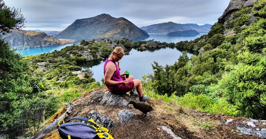 Mou Waho Cruise and Guided Nature Walk - Half Day | Experience Oz + NZ