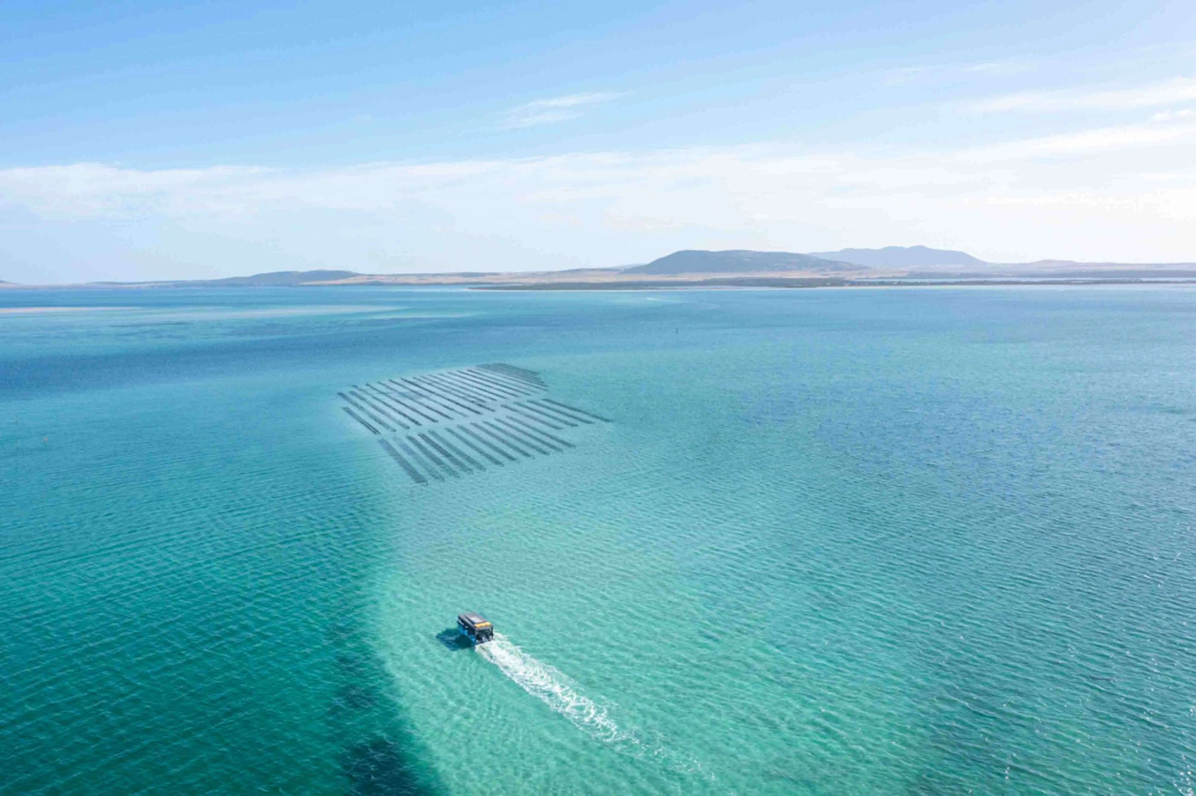 Coffin Bay Oyster Farm and Bay Tour - Book Now | Experience Oz-4
