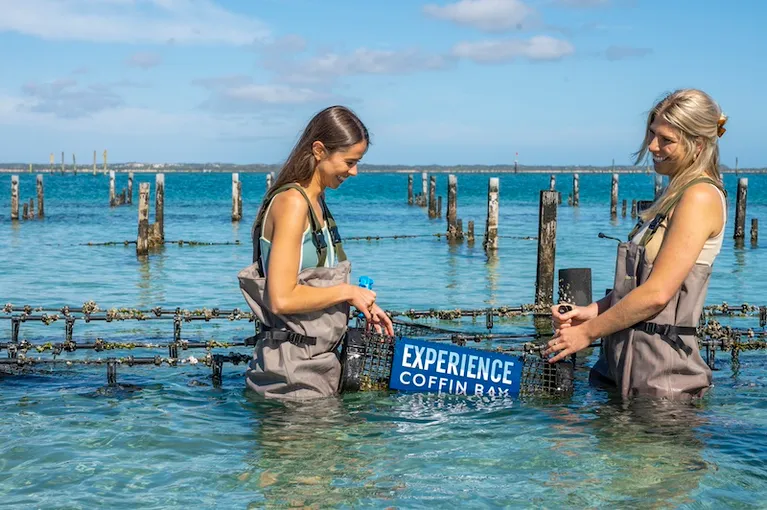 Coffin Bay Oyster Farm and Bay Tour - Book Now | Experience Oz