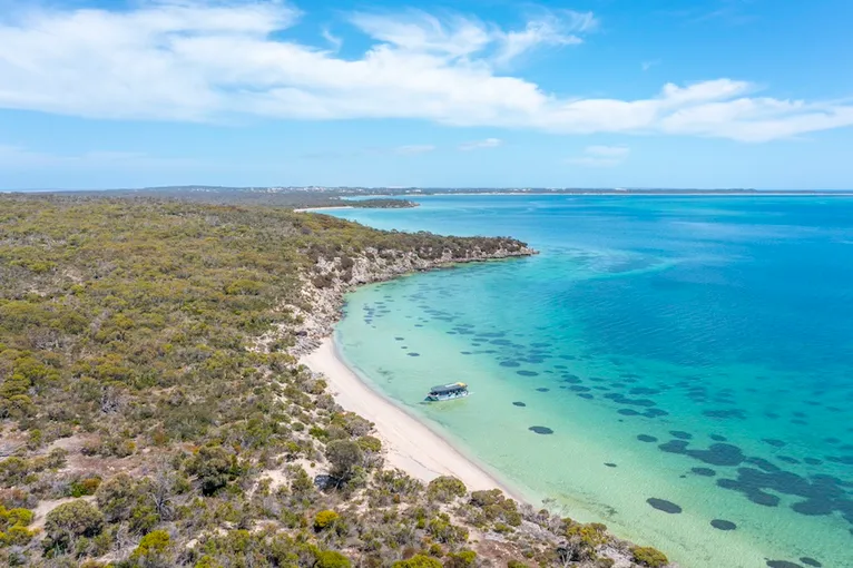 Coffin Bay Oyster Farm and Bay Tour - Book Now | Experience Oz