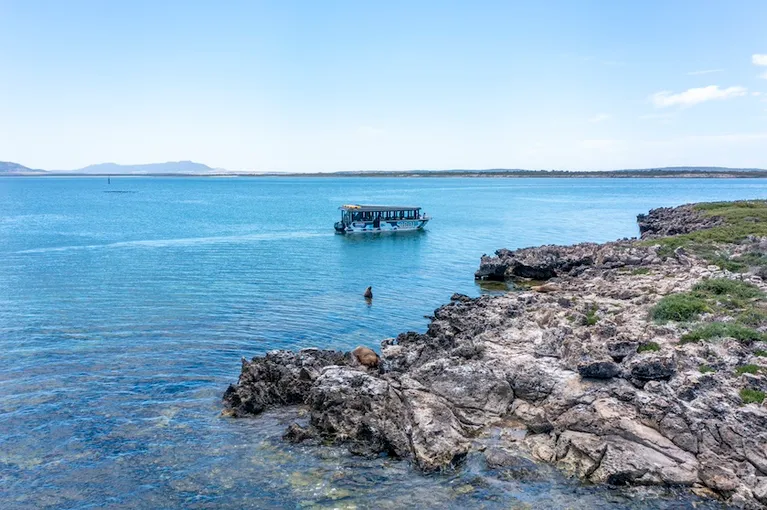 Coffin Bay Oyster Farm and Bay Tour - Book Now | Experience Oz