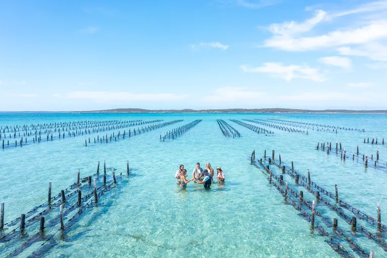 Coffin Bay Oyster Farm and Bay Tour - Book Now | Experience Oz