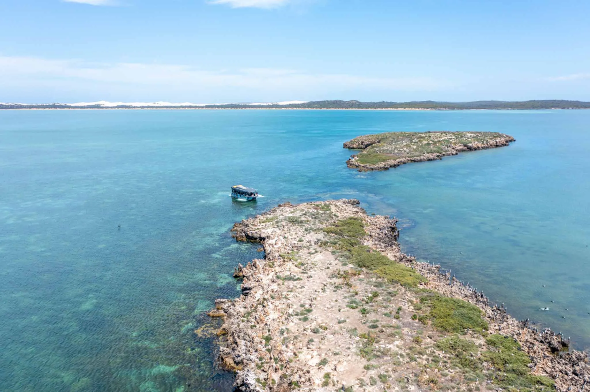 Coffin Bay Oyster Farm and Bay Tour - Book Now | Experience Oz-12