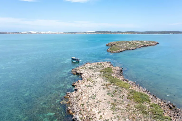 Coffin Bay Oyster Farm and Bay Tour - Book Now | Experience Oz