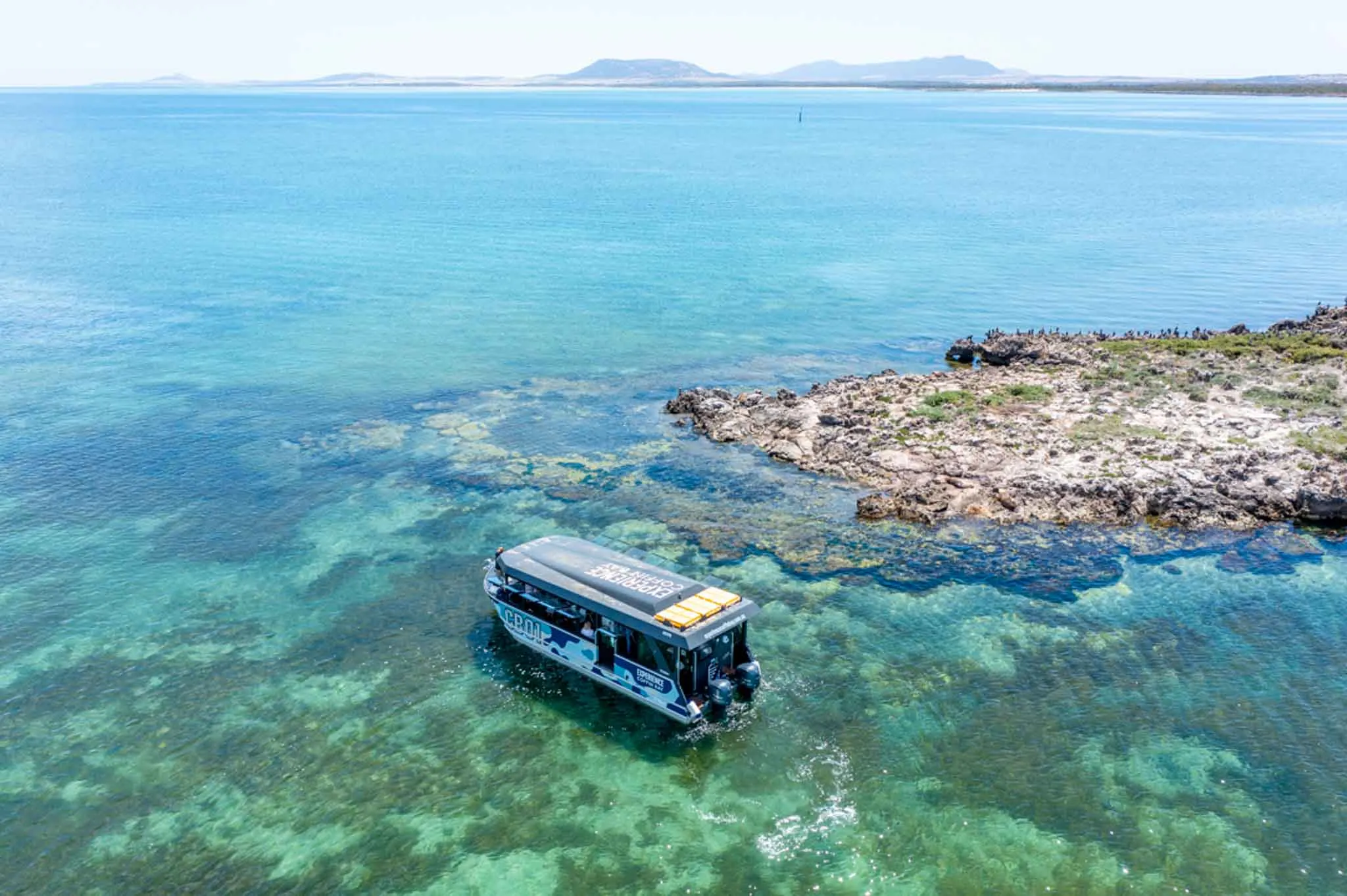 Coffin Bay Oyster Farm and Bay Tour - Book Now | Experience Oz-13