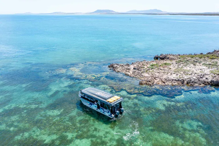 Coffin Bay Oyster Farm and Bay Tour - Book Now | Experience Oz