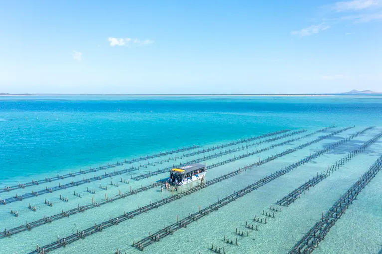 Coffin Bay Oyster Farm and Bay Tour - Book Now | Experience Oz