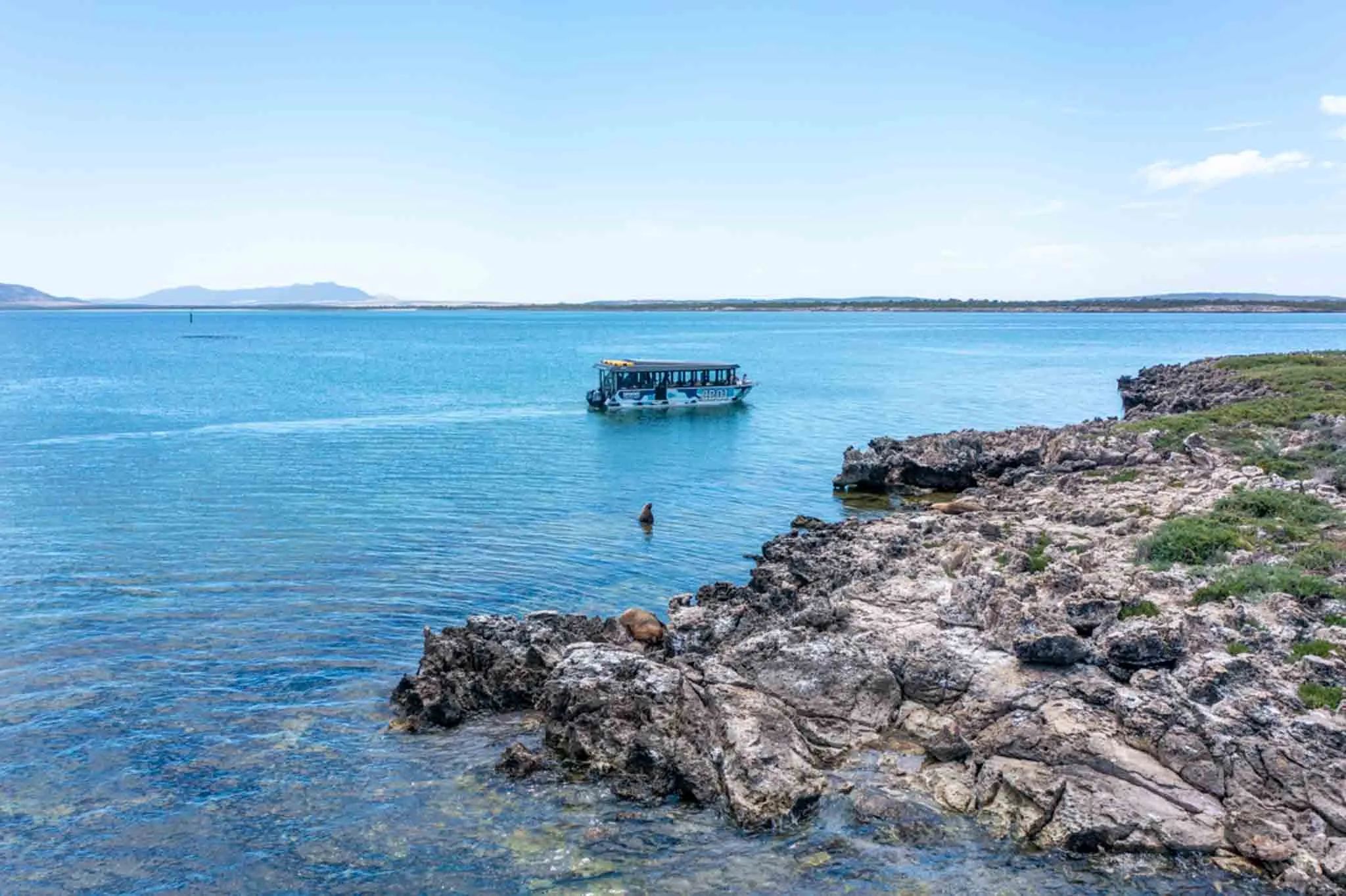 Coffin Bay Oyster Farm and Bay Tour - Book Now | Experience Oz-10