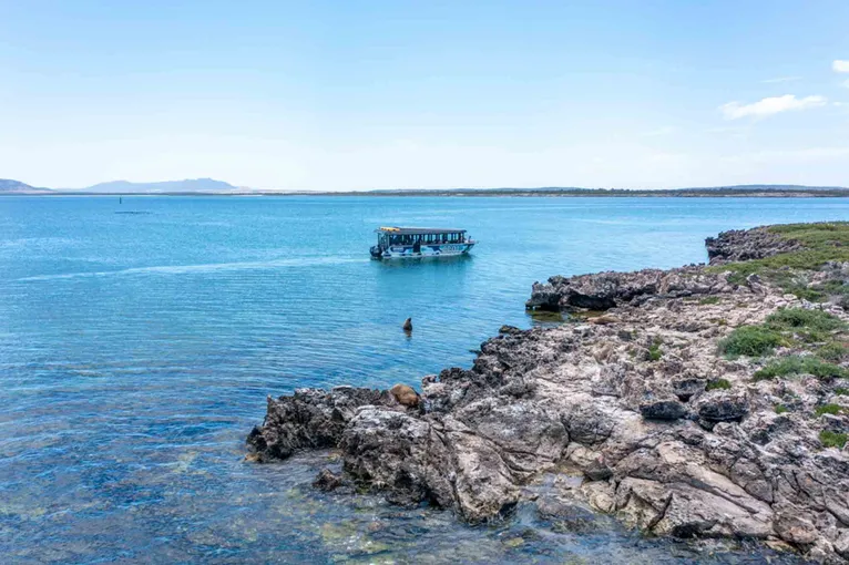 Coffin Bay Oyster Farm and Bay Tour - Book Now | Experience Oz