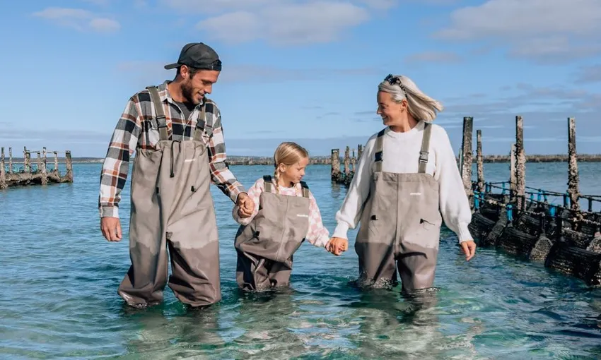 Coffin Bay Oyster Farm and Bay Tour - Book Now | Experience Oz