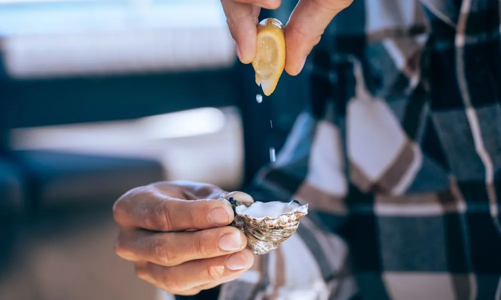 Coffin Bay Oyster Farm and Bay Tour - Book Now | Experience Oz-2