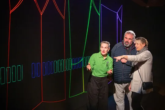 Te Papa Museum Art Narratives Guided Tour - 1 Hour