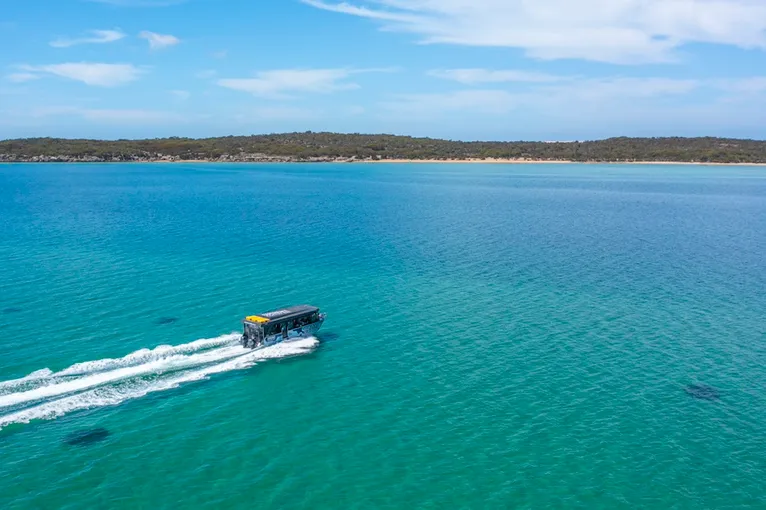 Coffin Bay Short and Sweet Oyster Farm Tour - Book Now | Experience Oz