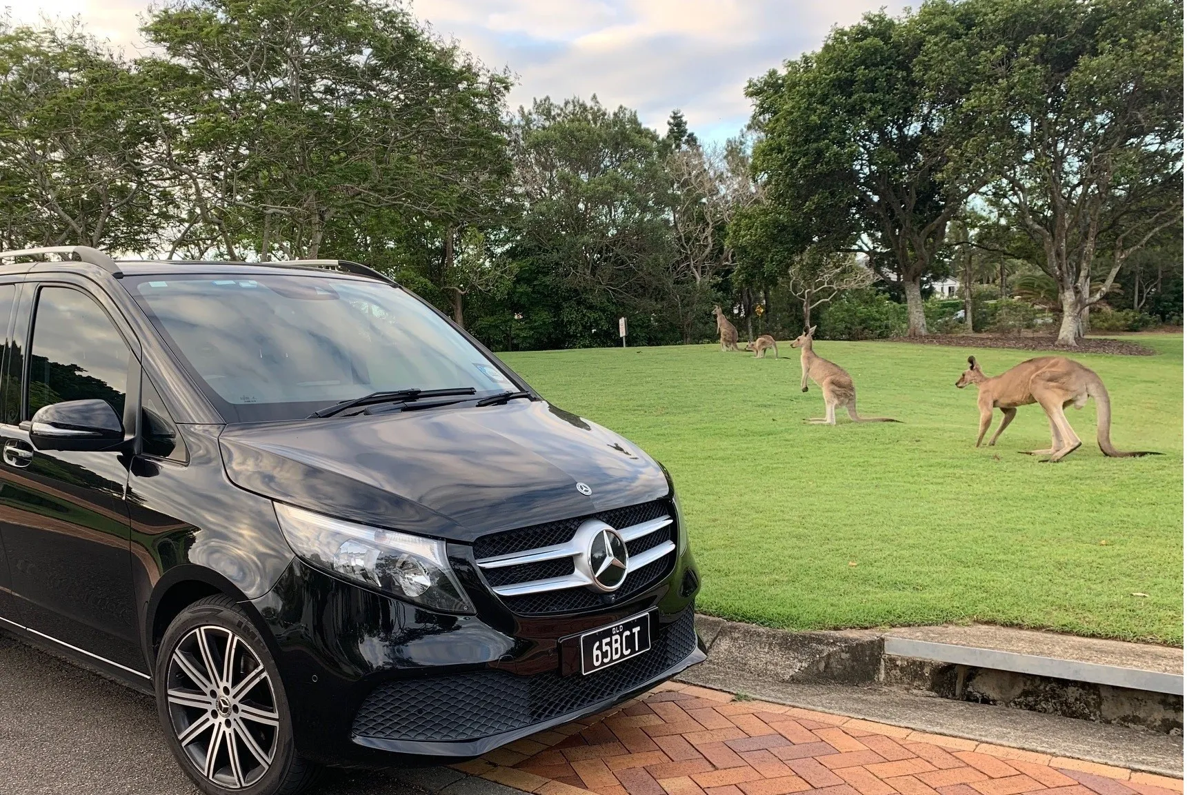 Brisbane Airport to Gold Coast Hotels Transfers | Experience Oz-4