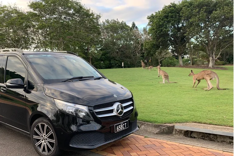 Brisbane Airport to Brisbane Hotels Transfers | Experience Oz