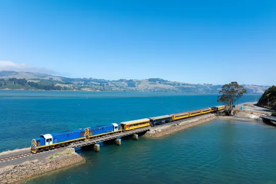 Dunedin Coastal Scenic Train Tour - 105 Minutes