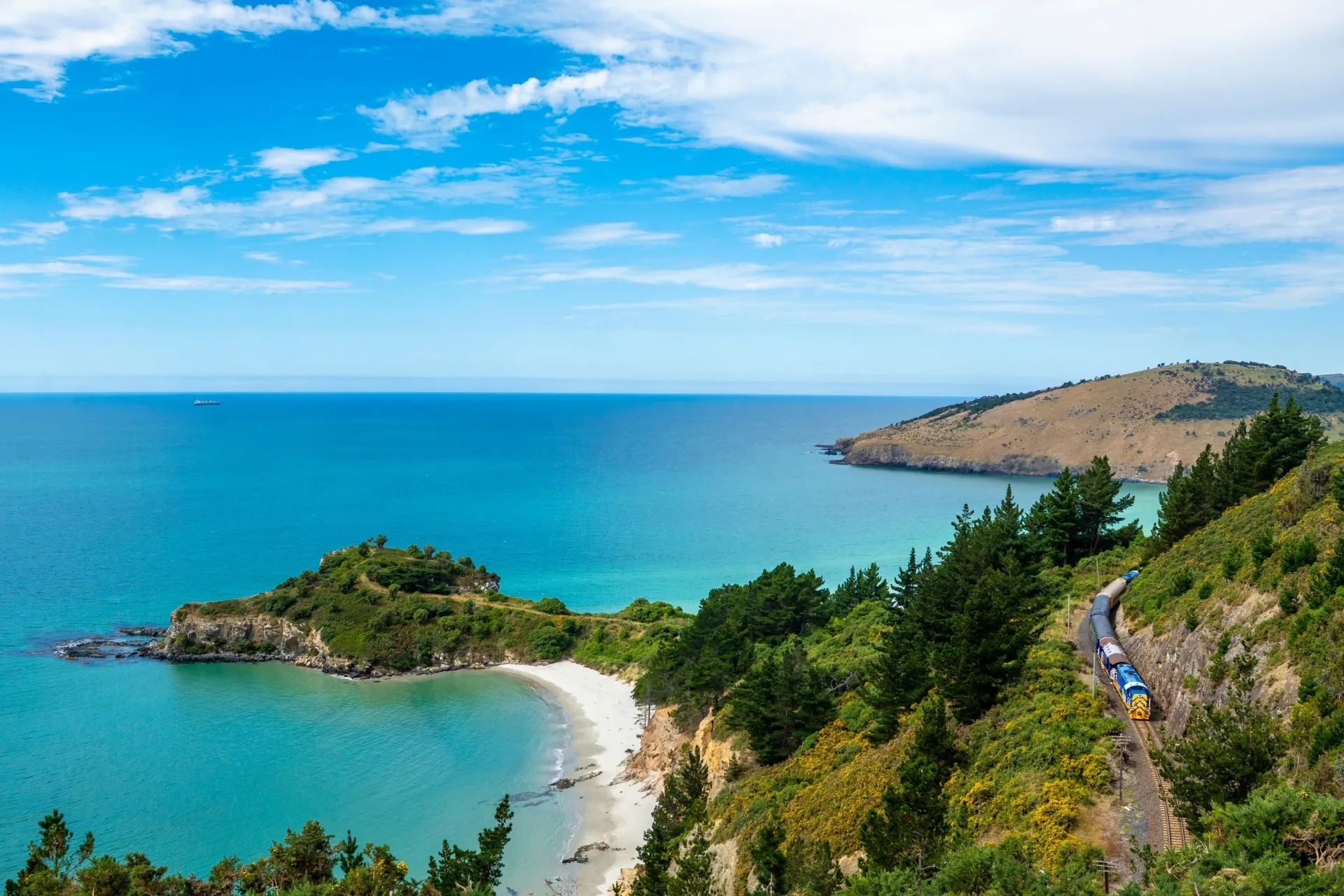 Dunedin Coastal Scenic Train Tour - 105 Minutes | Experience Oz + NZ-3
