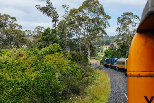 Dunedin Coastal Scenic Train Tour - 105 Minutes