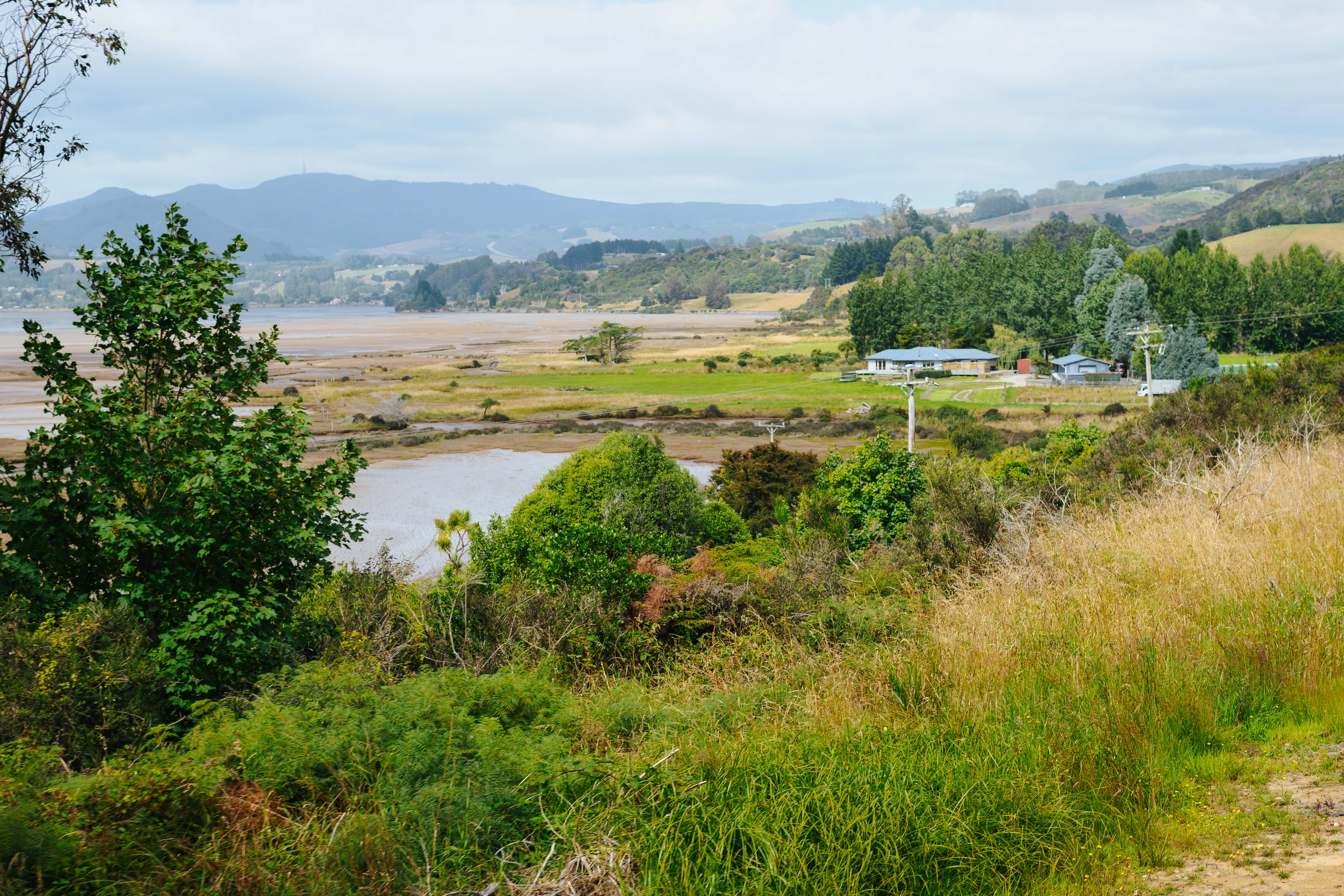 Dunedin Coastal Scenic Train Tour - 105 Minutes | Experience Oz + NZ-5
