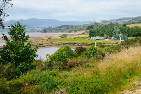 Dunedin Coastal Scenic Train Tour - 105 Minutes